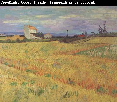 Vincent Van Gogh Wheat Field (nn04)